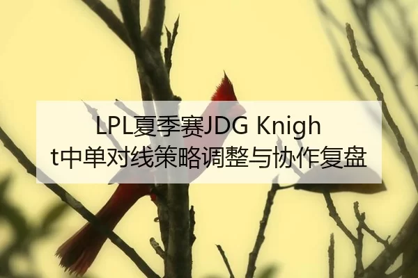 LPL夏季赛JDG Knight中单对线策略调整与协作复盘